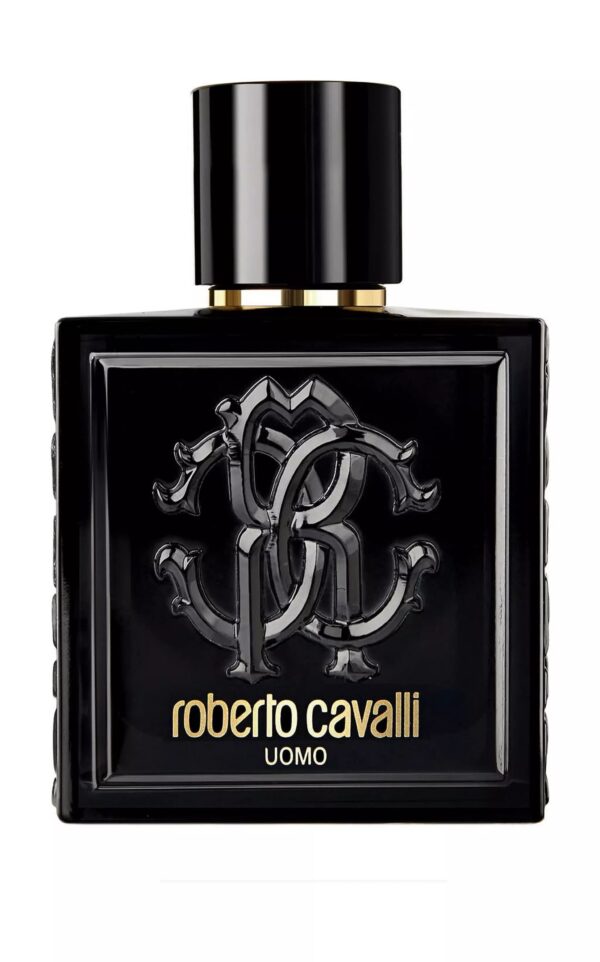 ROBERTO CAVALLI UOMO-MEN-EDT-100ML - Image 2